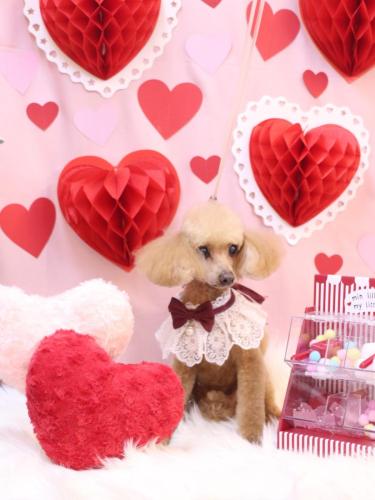 20240207リールちゃん